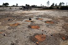 Pegadas de dinossáurios descobertas há 20 anos em Torres Novas tornadas públicas hoje
