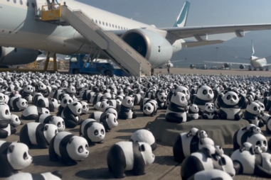 O que é que fazem estas 2500 esculturas de pandas gigantes neste aeroporto?
