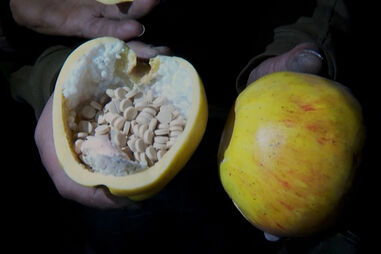 Captagon, 'cocaína dos pobres'