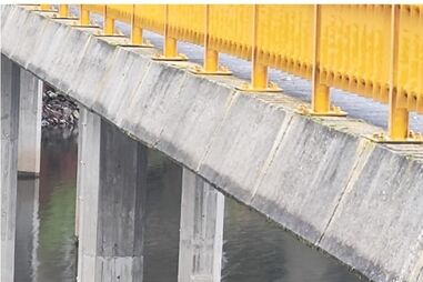 Bombeiros da Guarda salvam cão à deriva em barragem