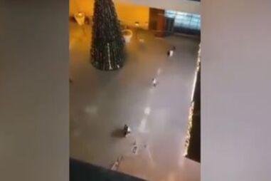 O momento do tiroteio do Palácio do Gelo Shopping em Viseu