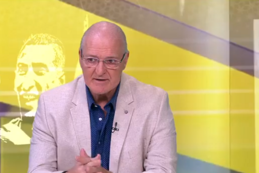 Jorge Amaral: "Tiago Gouveia, António Silva e Tomás Araújo com a camisola do PSG não é de fazer uma situação negativa"