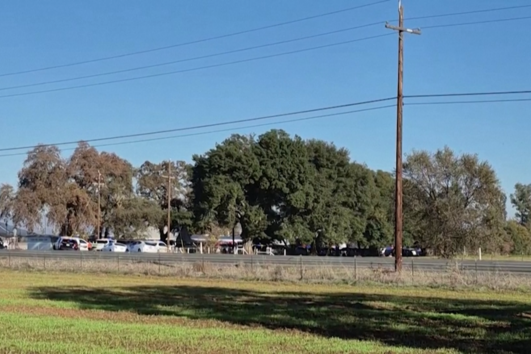img_531x354uu2024-12-05-10-41-00-2181145.png
