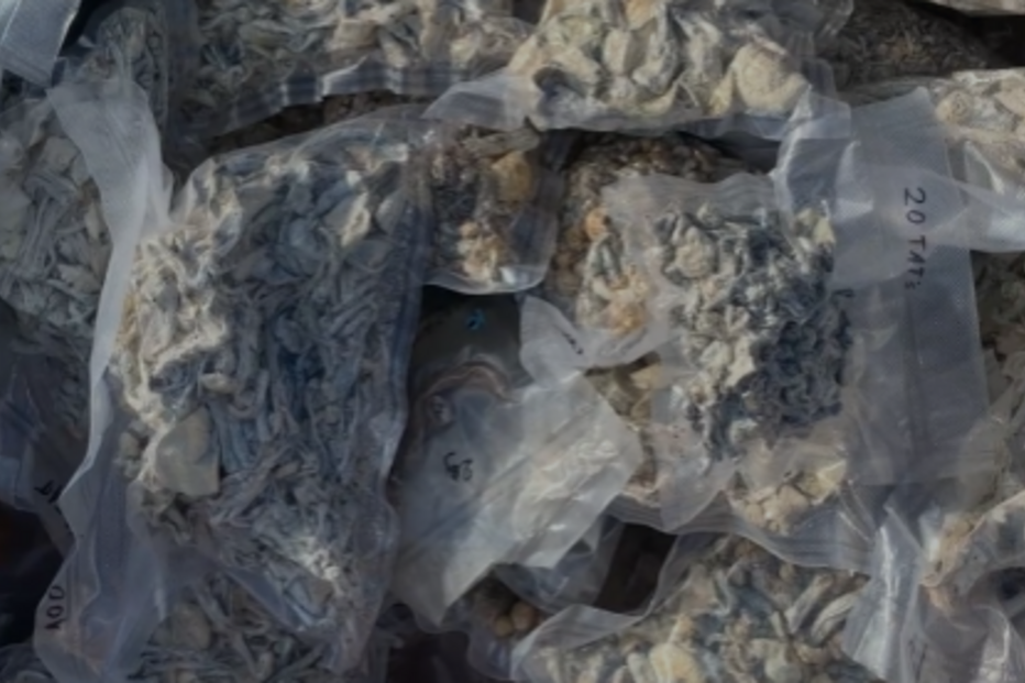 img_932x621uu2024-12-14-10-11-31-2182607.png
