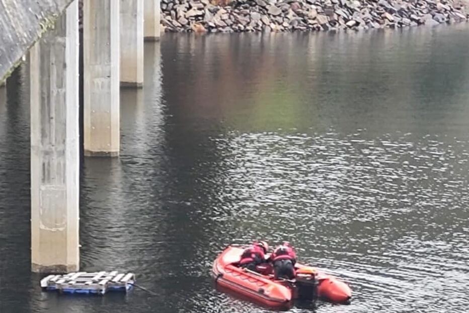 Bombeiros da Guarda salvam cão à deriva em barragem