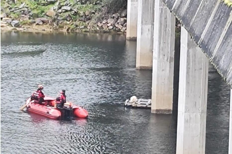 Bombeiros da Guarda salvam cão à deriva em barragem