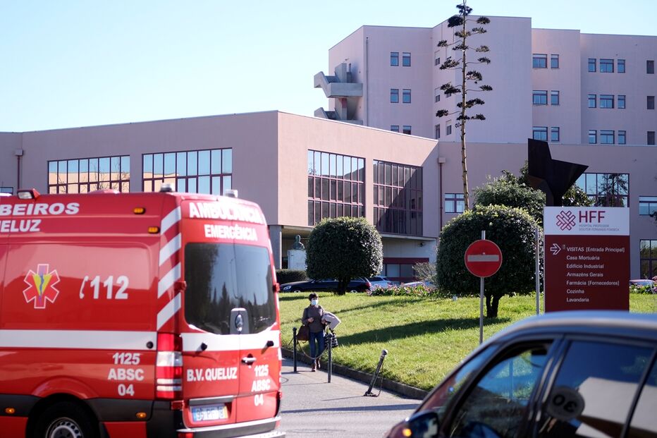 Imagem DSCF1603.JPG (23479998) (Milenium)