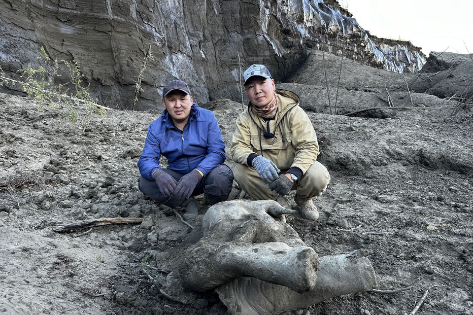 Rússia exibe pequeno mamute com 50 mil anos quase intacto