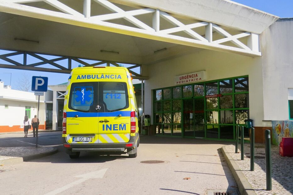 Imagem IMG_8832.JPG (23509584) (Milenium)