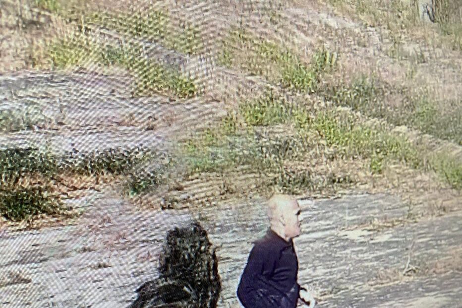 2-52654864.jpg (23512122) (Milenium)