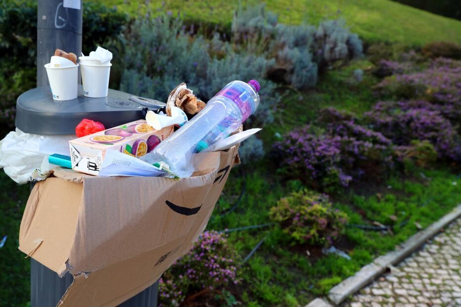 Lixo acumulado em caixotes na Rua Luciana Stegagno Picchio 