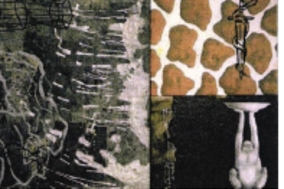 Quadro “Seraglio II”, do artista Julião Sarmento