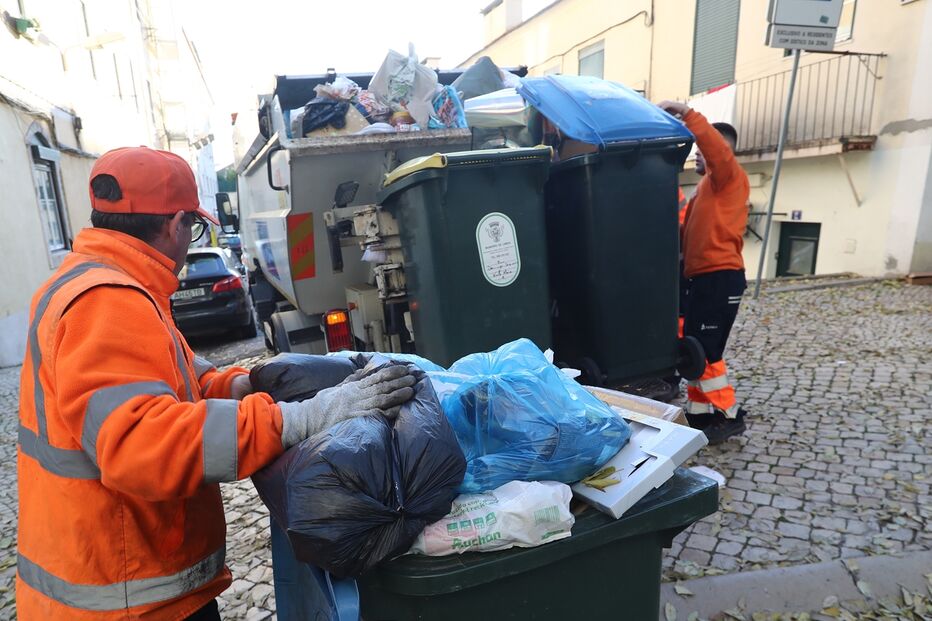 Imagem PEC_6475.JPG (23525790) (Milenium)