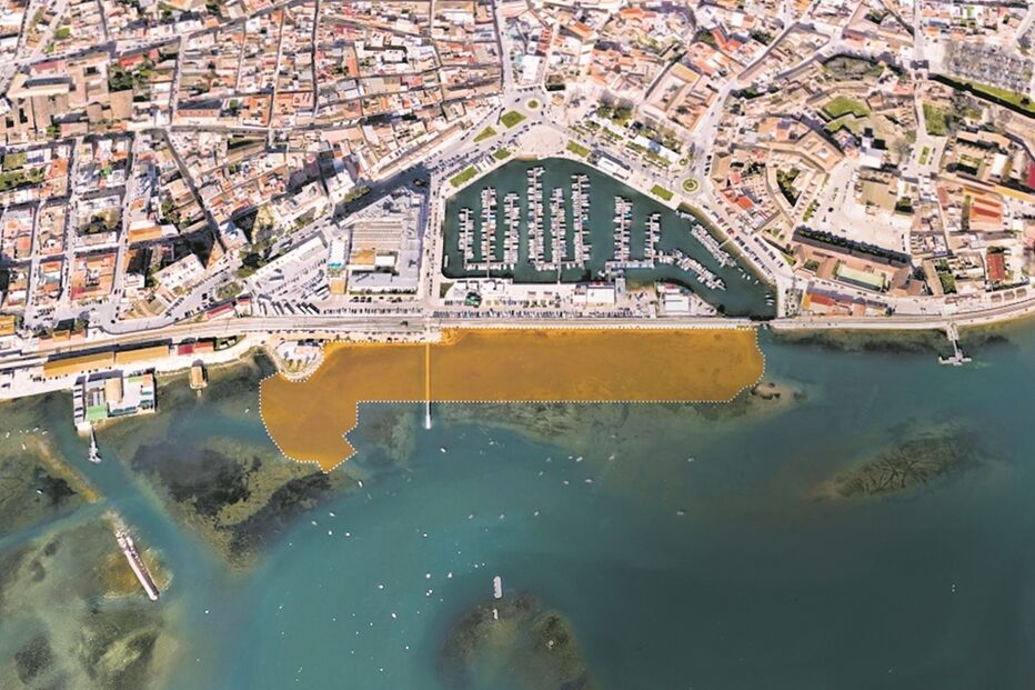 Imagem P24_abertura_acrescentar_fundo_em_baixo.jpg (23533132) (Milenium)