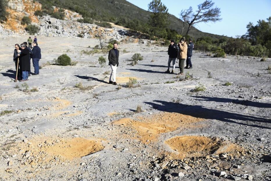 Pegadas de dinossáurios descobertas há 20 anos em Torres Novas tornadas públicas hoje