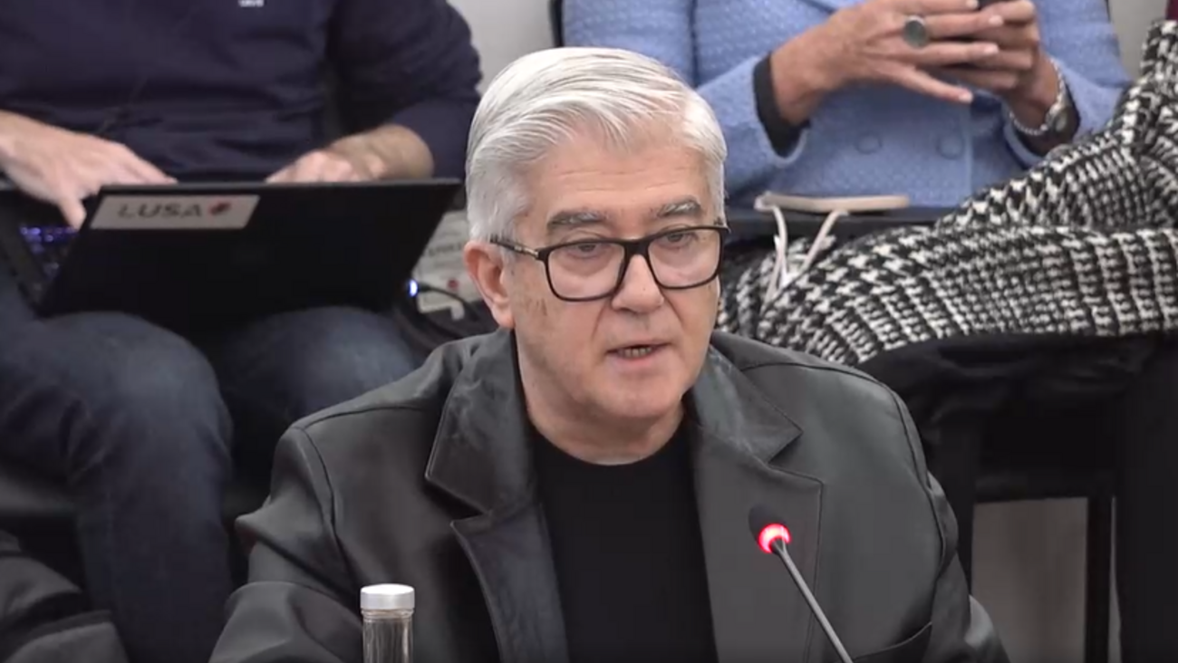 António Lacerda Sales na comissão de inquérito no caso das gémeas