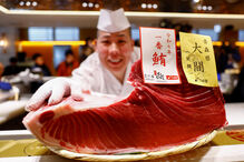 Atum de 276 kg vendido por mais de um milhão em leilão 