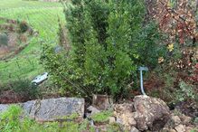 Carro despista-se e cai em ravina com cerca de 20 metros em Mondim de Basto