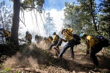 Imagem 54227195.jpg (23645172) (Milenium)