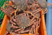 ASAE suspende atividade de três armazéns e apreende 17 toneladas de alimentos no Norte