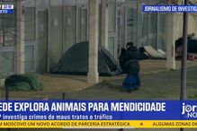 Imagem 54361512.jpg (23732419) (Milenium)