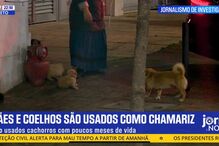 Imagem 54361516.jpg (23732416) (Milenium)