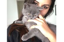 Carolina Loureiro e Shanti