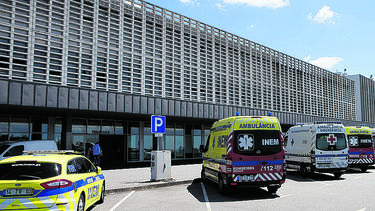 Mosquito-tigre identificado em Vila Verde, tem capacidade para transmitir dengue, zika e chikungunya