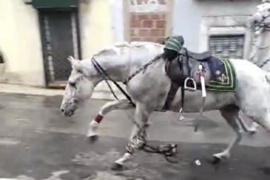 Cavaleiro da GNR cai e vai para o hospital durante cortejo de Eça de Queiroz