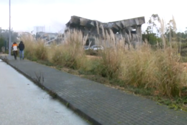 Incêndio destrói oficina de desmantelamento de veículos em Rio Maior