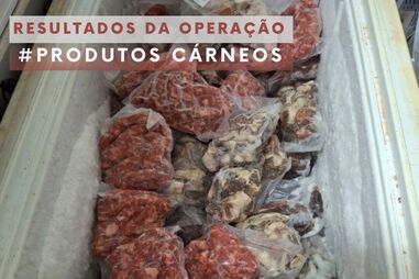 ASAE apreende 1,2 toneladas de carne estragada em estabelecimento de Ponte de Lima