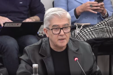 António Lacerda Sales na comissão de inquérito no caso das gémeas