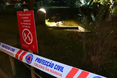 Gripe das aves confirmada em capoeira doméstica e no Parque D. Carlos I nas Caldas da Rainha