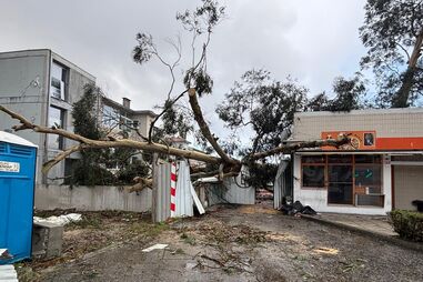 Árvore danifica carro, mota e habitação no Porto