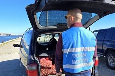 Polícia Marítima apreende 760kg de amêijoa japónica e identifica uma pessoa em Lisboa