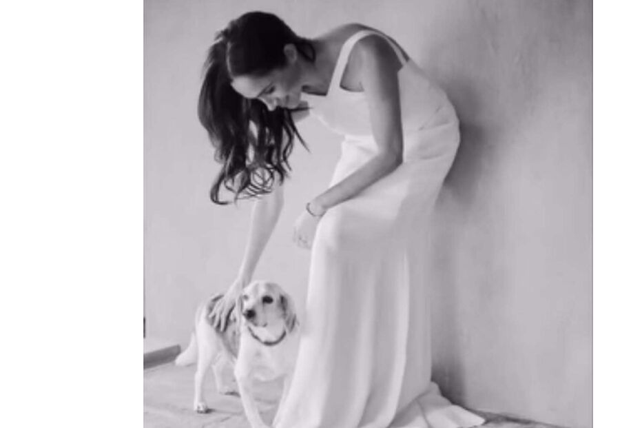 A ex-atriz com o seu cão