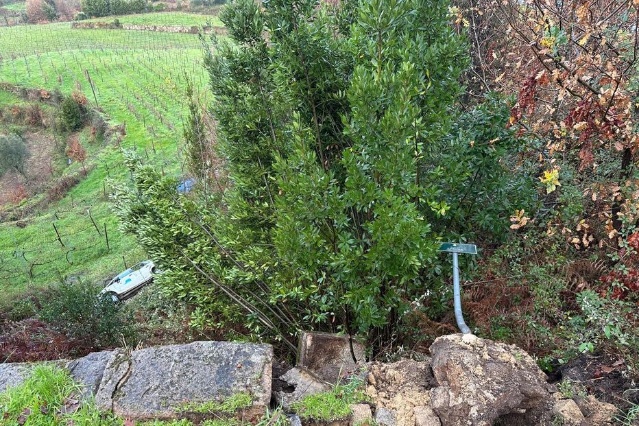 Carro despista-se e cai em ravina com cerca de 20 metros em Mondim de Basto