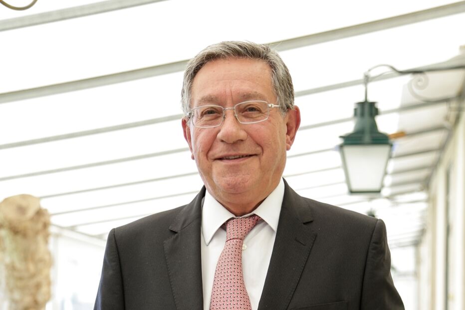 Imagem _IGL1550.JPG (23636225) (Milenium)