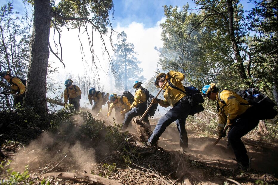 Imagem 54227195.jpg (23645172) (Milenium)