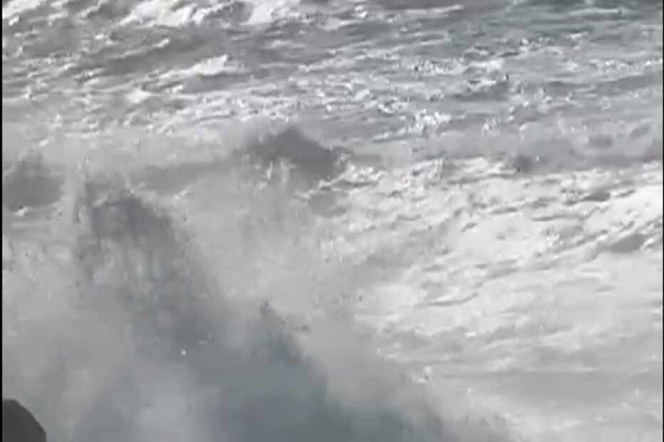 Imagem FRAME_2025-01-10-17H27M56S163.JPG (23645286) (Milenium)