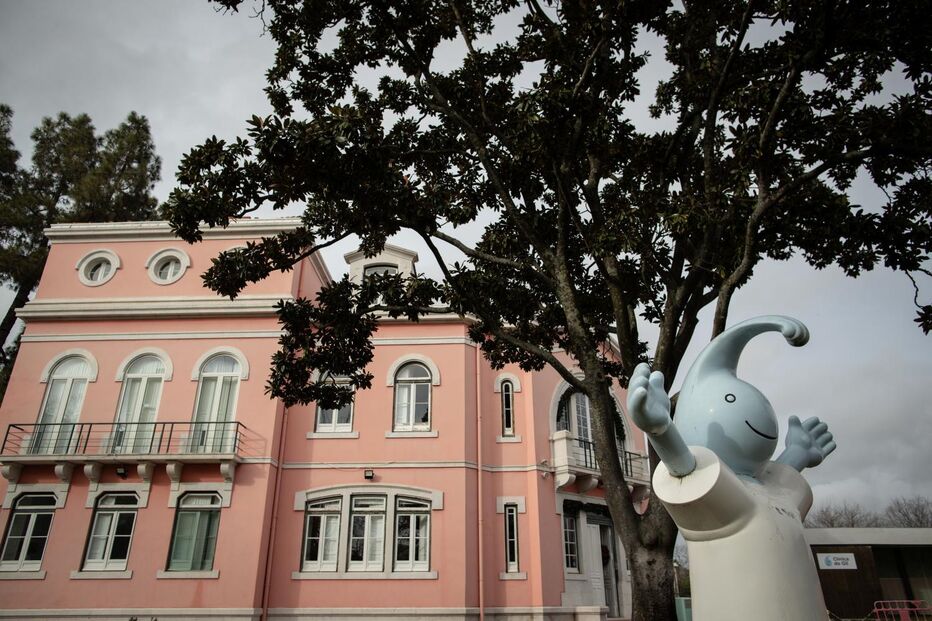 Patrícia Boura, Presidente da Fundação GIL