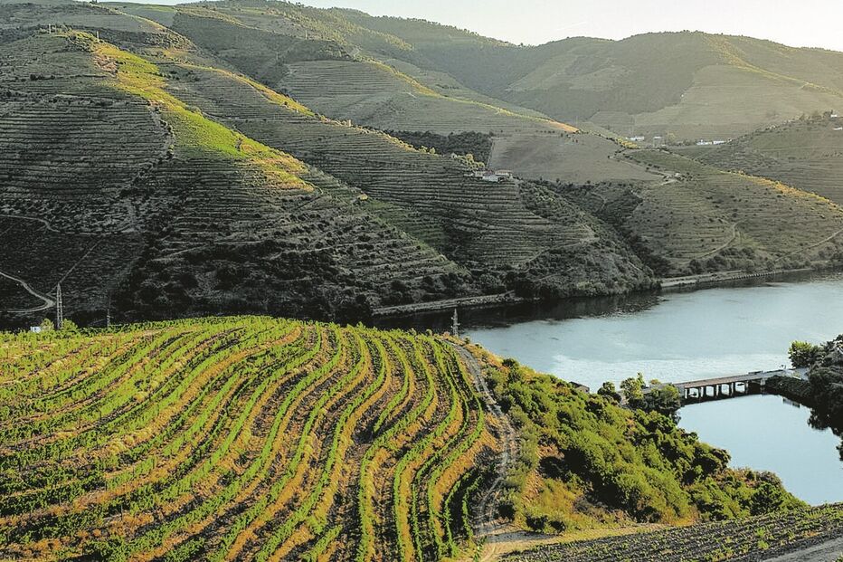 O Alto Douro Vinhateiro foi classificado pela UNESCO património mundial 