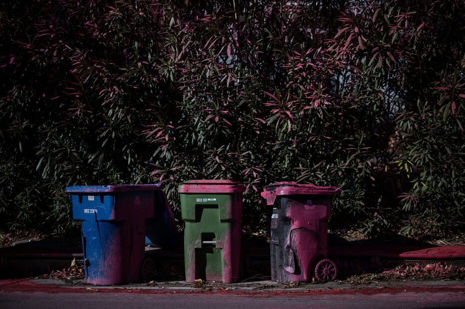 Pó cor de rosa em Los Angeles, devastada pelos incêndios florestais