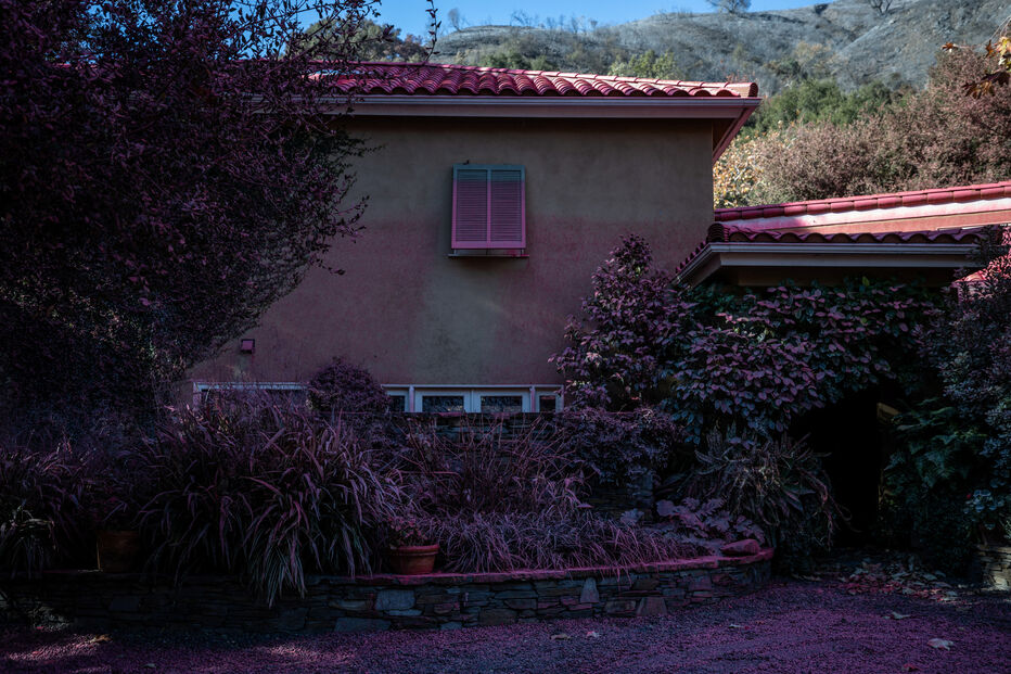 Pó cor de rosa em Los Angeles, devastada pelos incêndios florestais