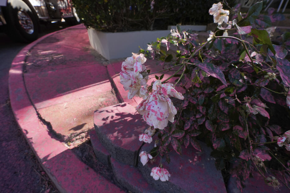 Pó cor de rosa em Los Angeles, devastada pelos incêndios florestais