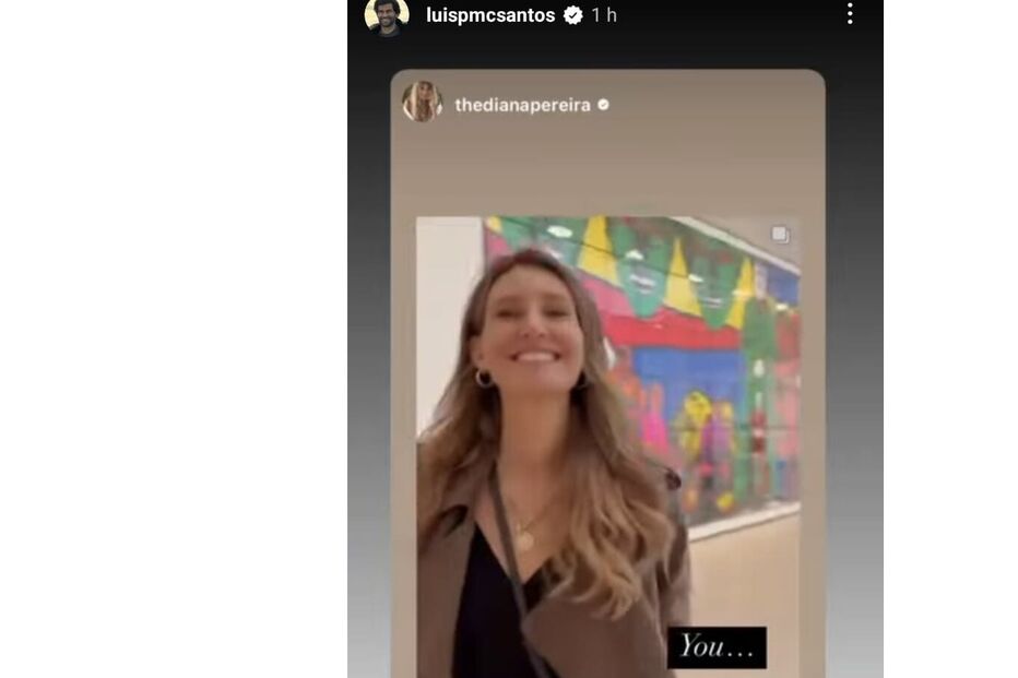 Luís Santos declara-se a Diana Pereira