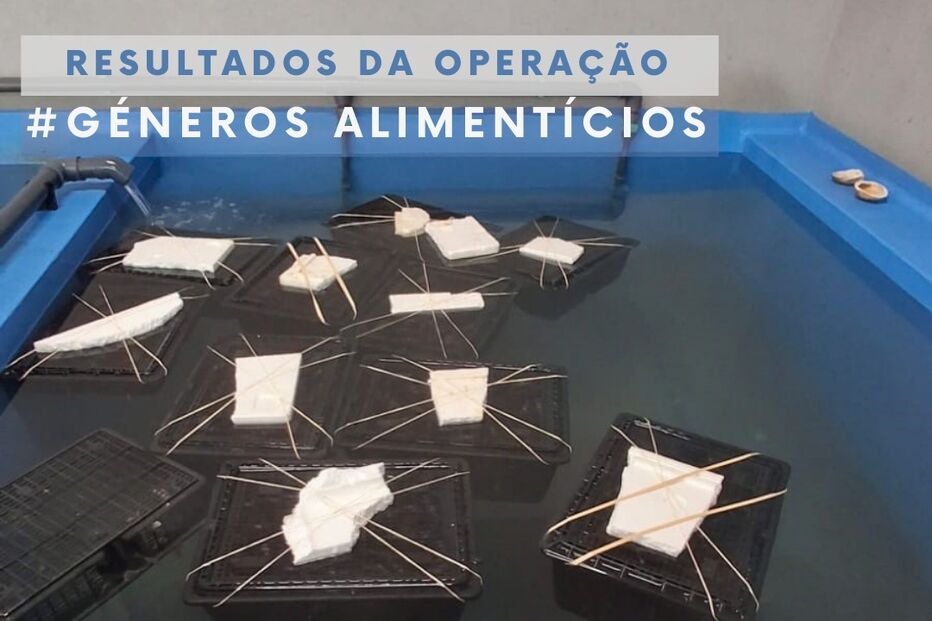 ASAE suspende atividade de três armazéns e apreende 17 toneladas de alimentos no Norte