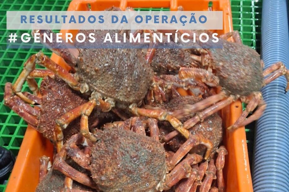 ASAE suspende atividade de três armazéns e apreende 17 toneladas de alimentos no Norte