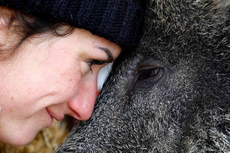 Elodie Cappe com o javali 'Rillette'