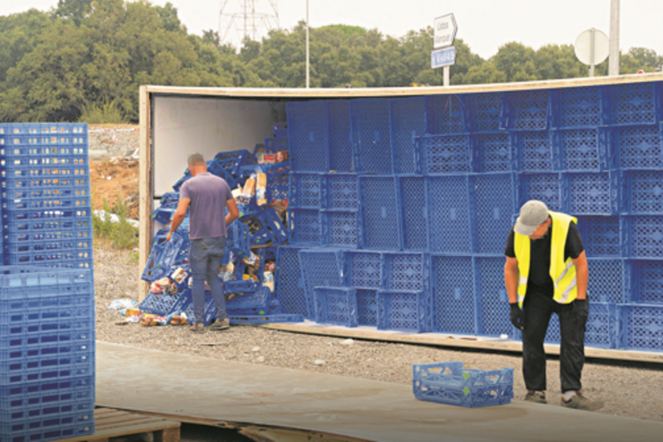 Gang ganha um milhão a desviar paletes e cestas